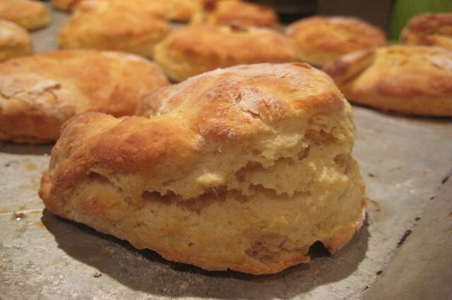 Easy Scones Recipe | How to make scones | Basic scone recipe