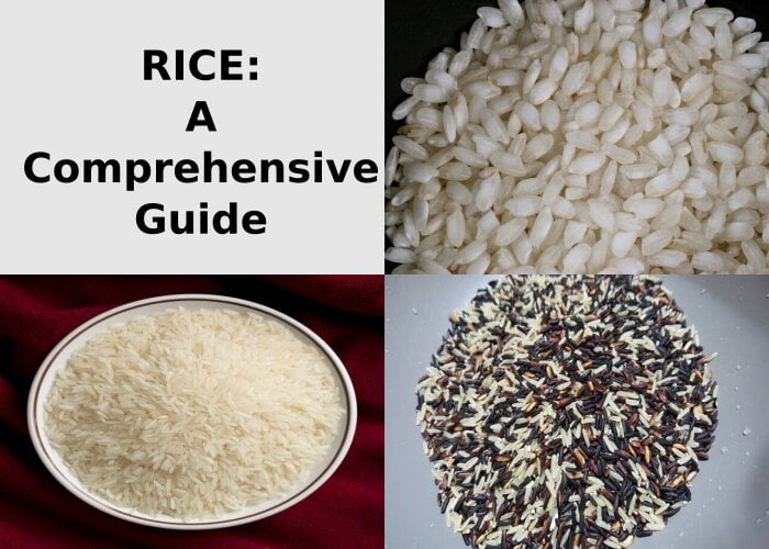 Introduction to rice types