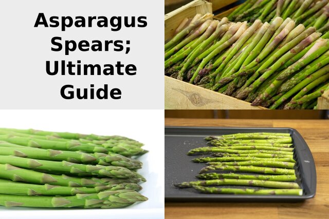 everything about asparagus spears