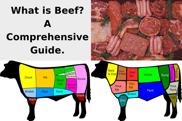 what-is-beef-a-comprehensive-guide