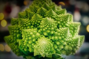 Romanesco Cauliflower type