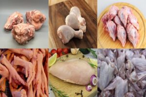 Different cuts of chicken meat