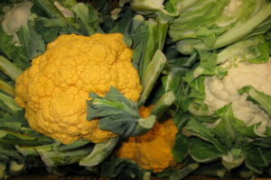 Orange cauliflower type