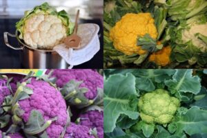 What is cauliflower. A complete guide